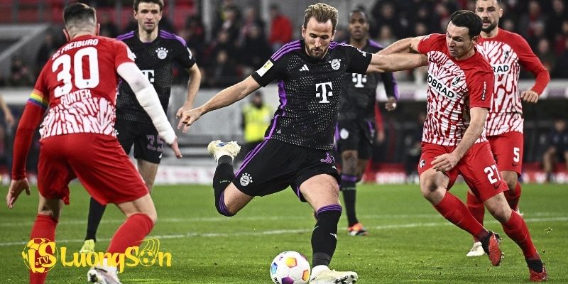 Phong độ Bayern Munchen trước trận đấu ngày 22/11/25
